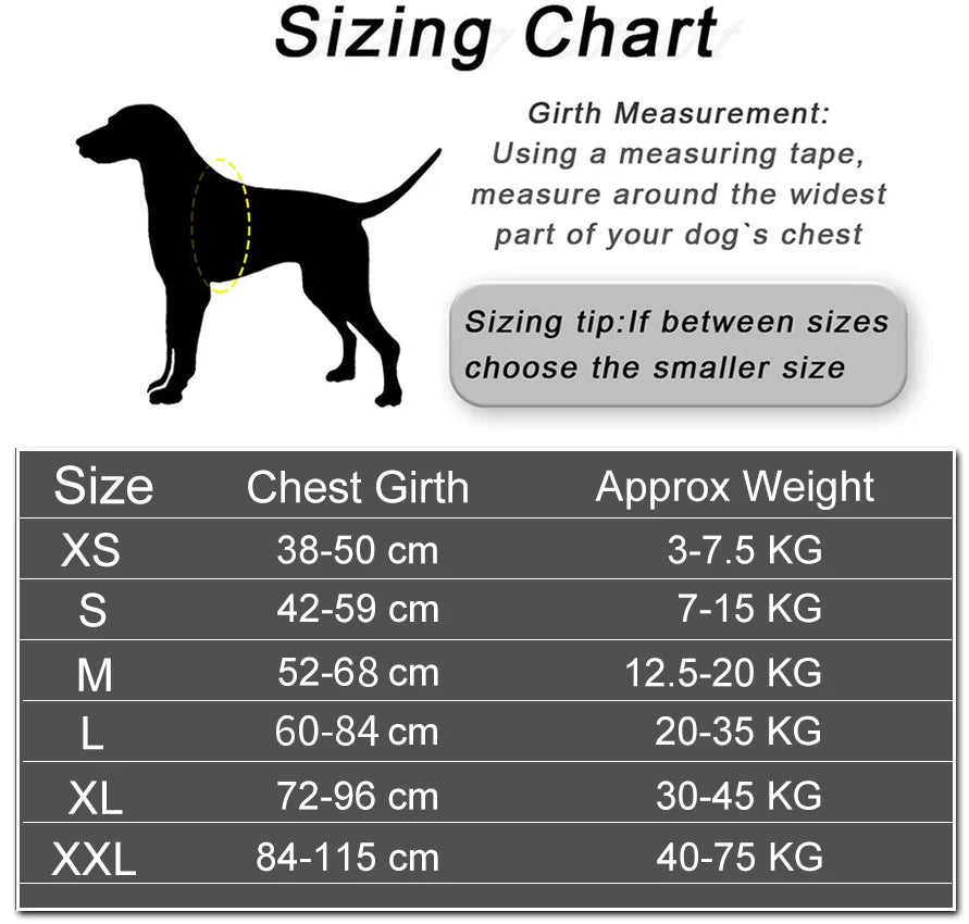 Personalised Dog Harness