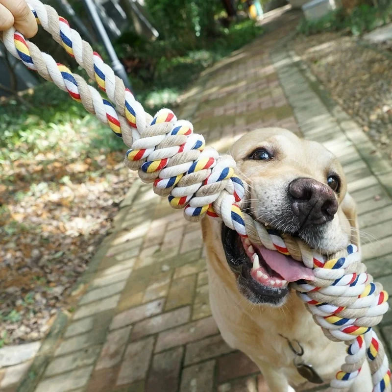 Assorted Dog Rope Toys