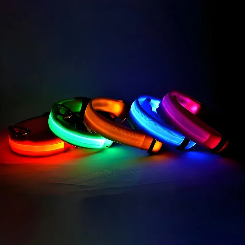 LED Safety Dog Collar