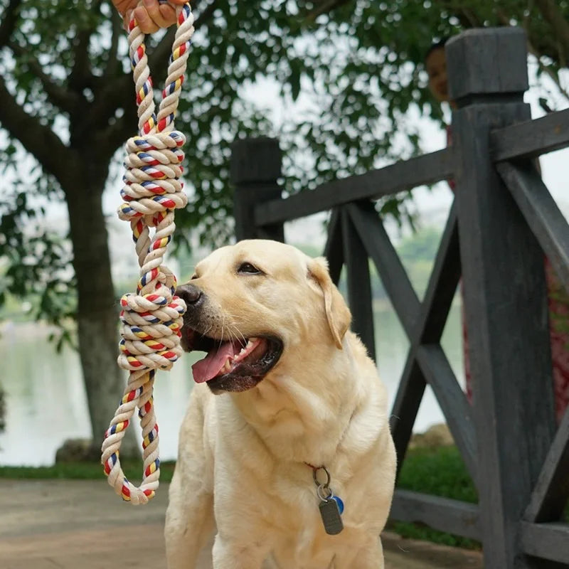 Assorted Dog Rope Toys