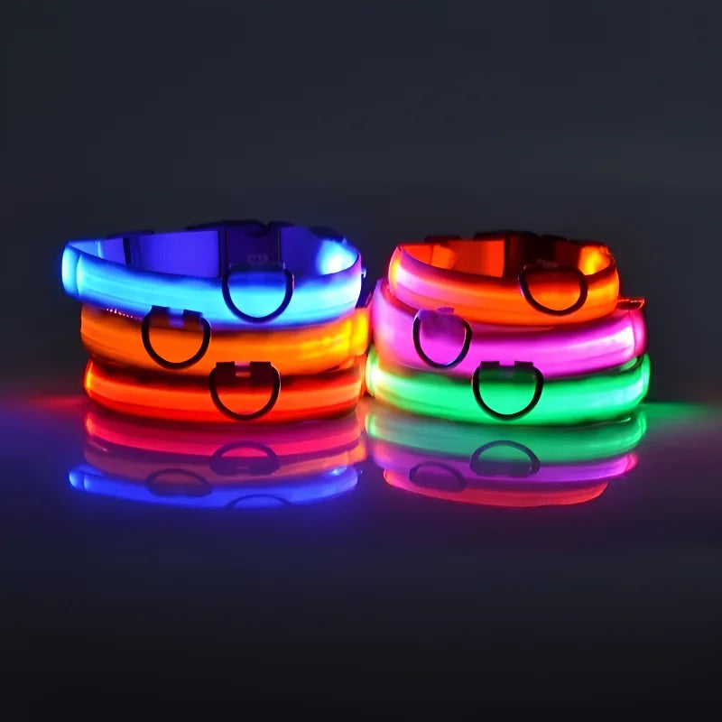 LED Safety Dog Collar