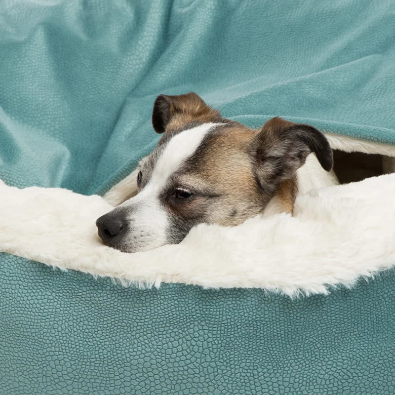 Orthopedic Blanket Dog Bed