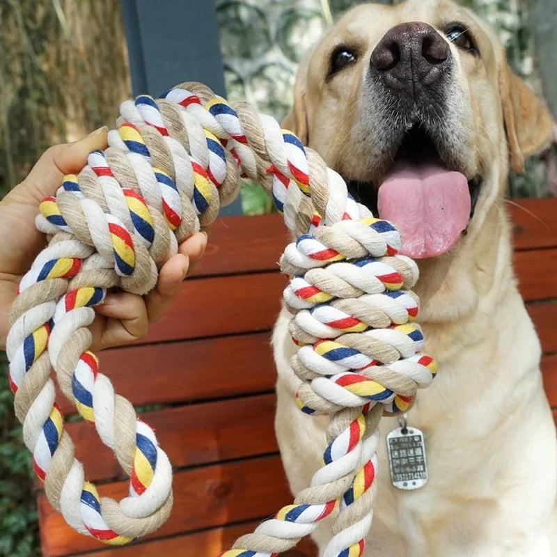 Assorted Dog Rope Toys