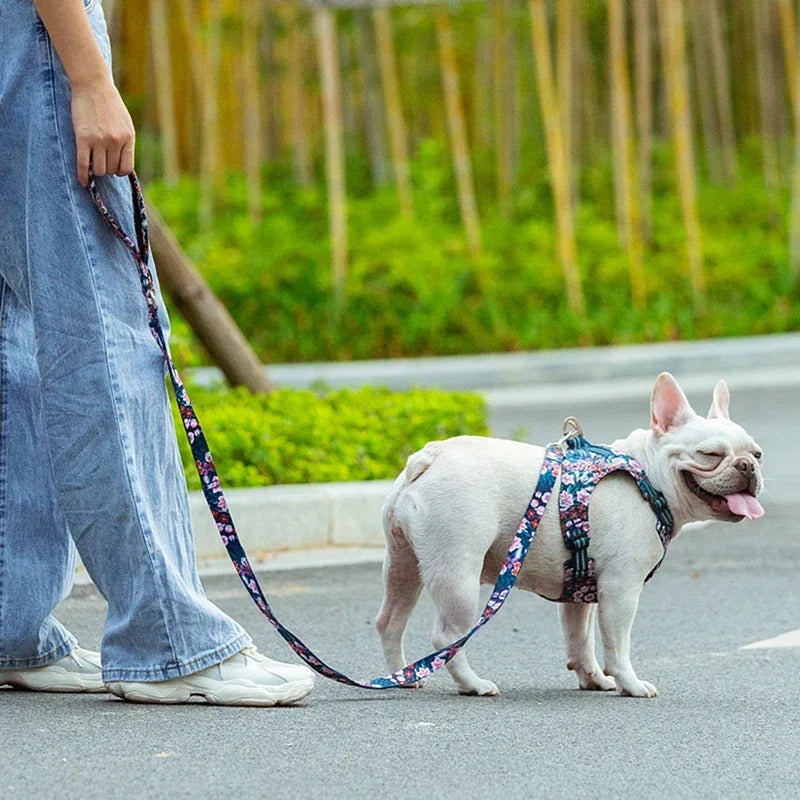 Truelove Floral Padded Handle Dog Lead