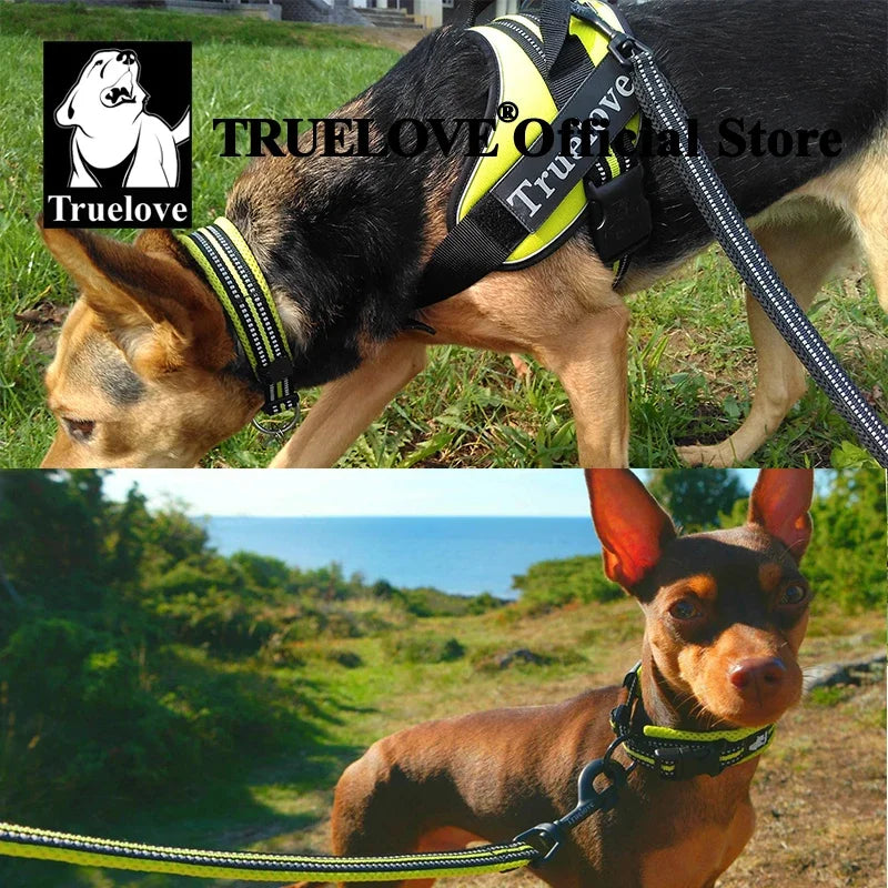 Truelove Reflective Collar