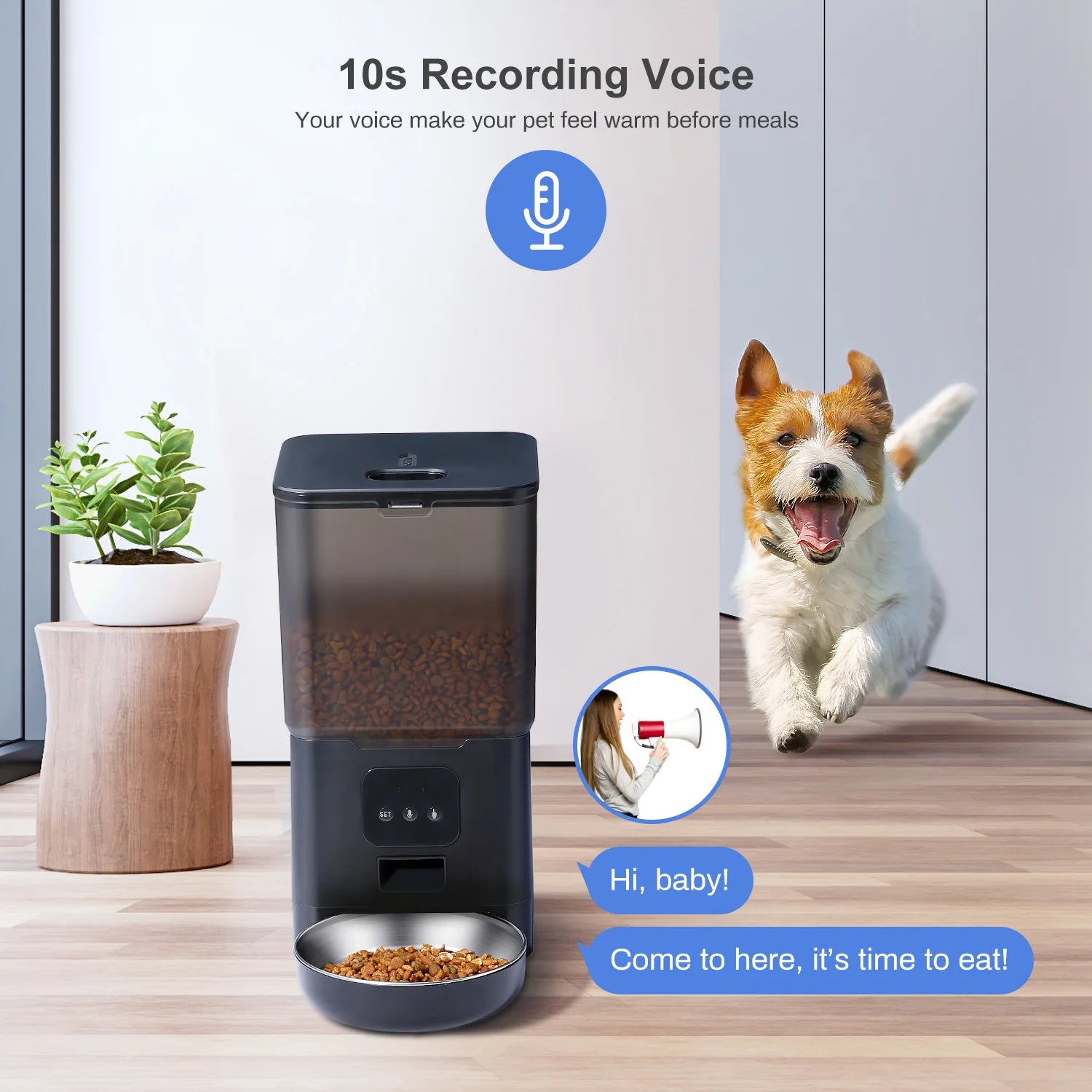 6L Dog Automatic Feeder With Additional WIFI