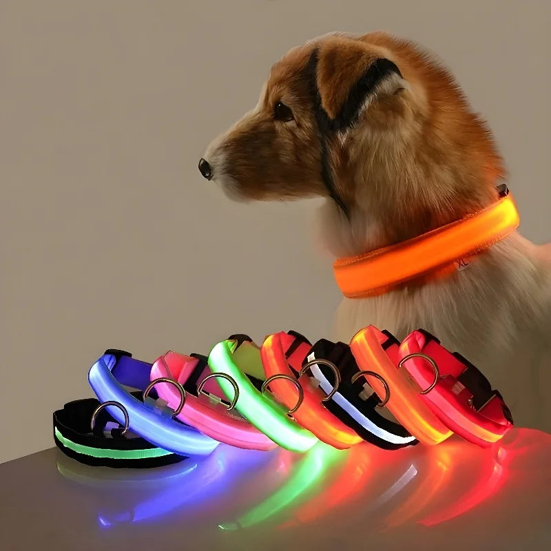 LED Safety Dog Collar